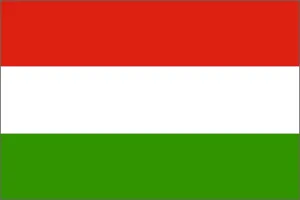 Hungary National Flag Printed
