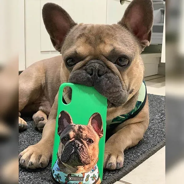 Original Pet Pop Art Phone Case